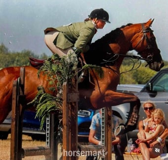 "Jasper" Bay Gelding Ex Racehorse