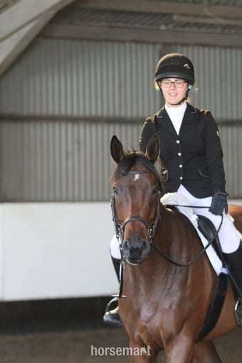 "The Doha Express 'Dan'" Bay Gelding Ex Racehorse