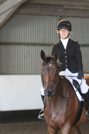 "The Doha Express 'Dan'" Bay Gelding Ex Racehorse