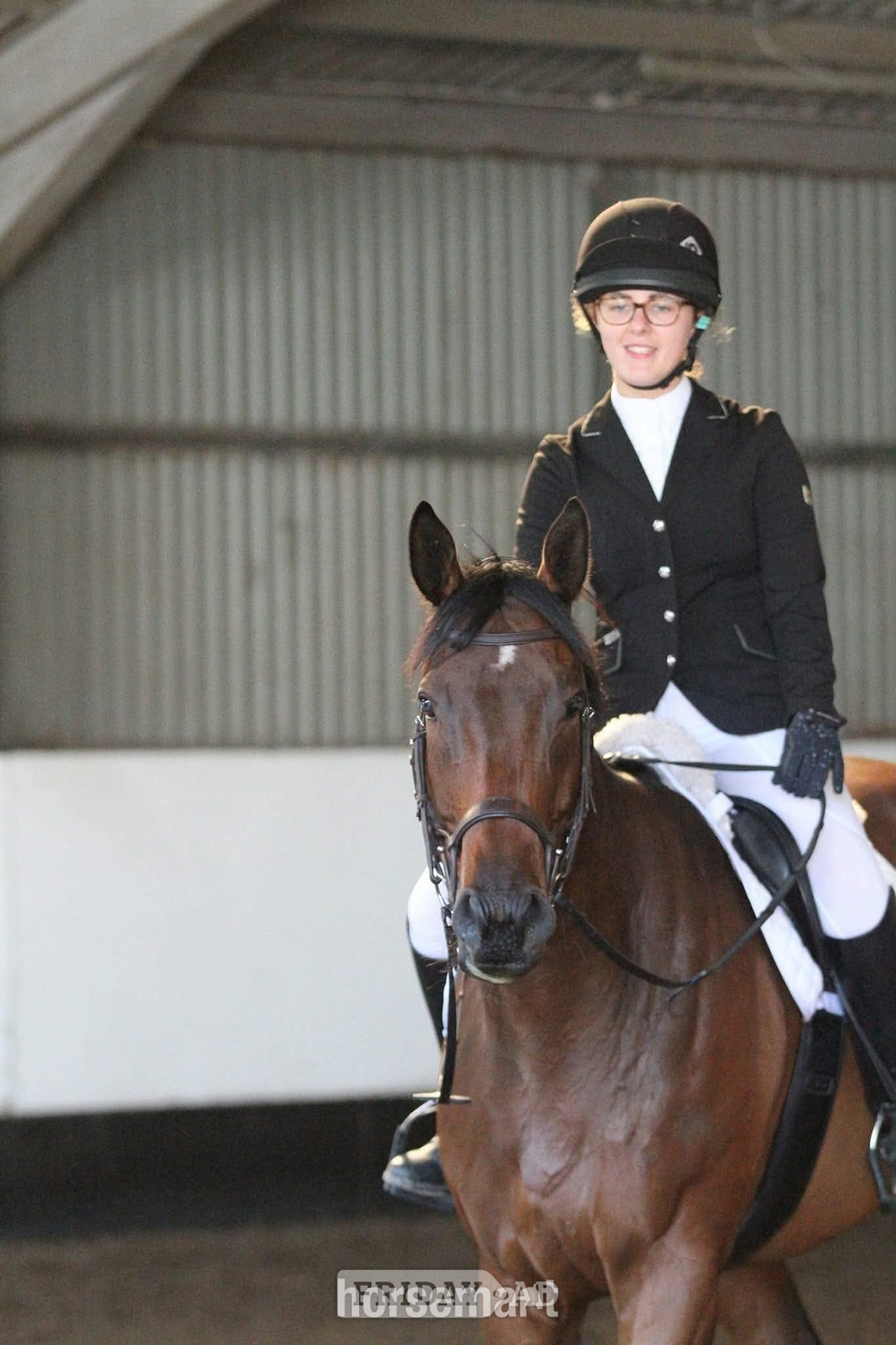 "The Doha Express 'Dan'" Bay Gelding Ex Racehorse in Goole