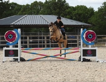 "Dun Dancing" Dun Gelding All Rounder