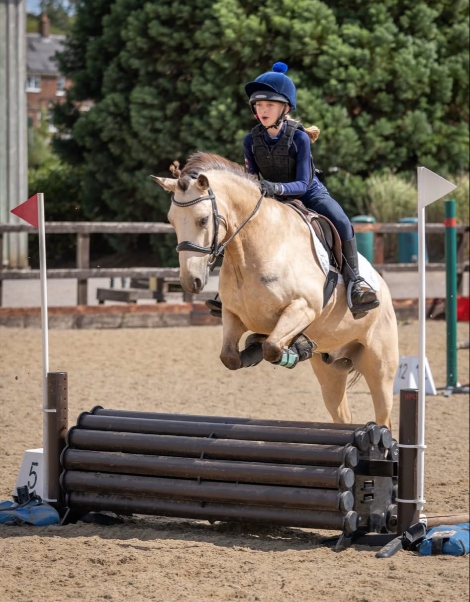 Winchester "Dun Dancing" Dun Gelding All Rounder
