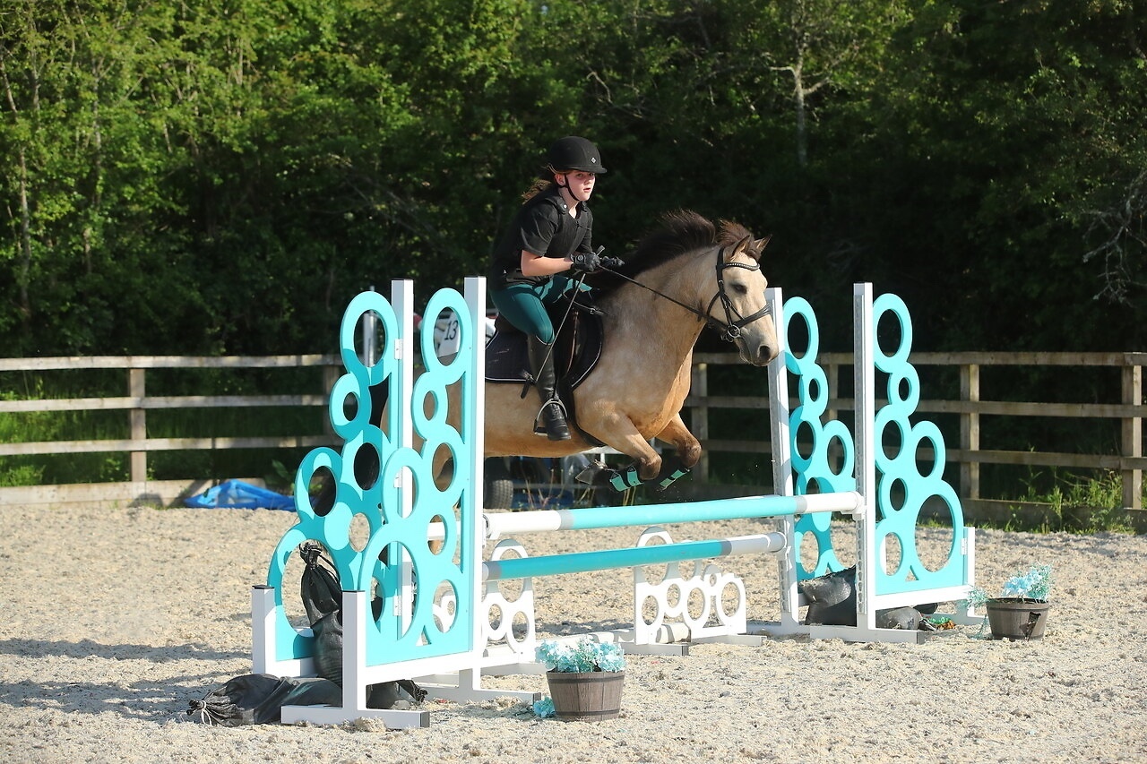 "Dun Dancing" Dun Gelding All Rounder - Horses in Winchester
