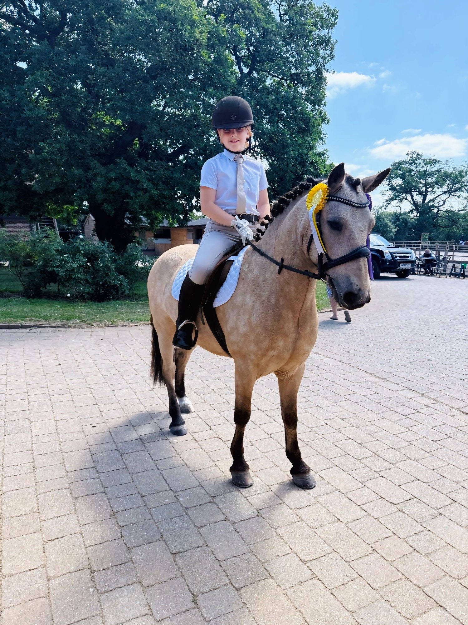 "Dun Dancing" Dun Gelding All Rounder - Horses