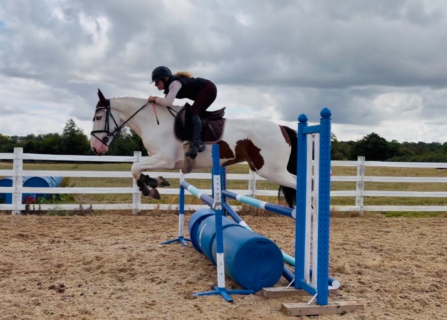 Raheen "Tom: easygoing, scopey sport cob " Skewbald Gelding All Rounder