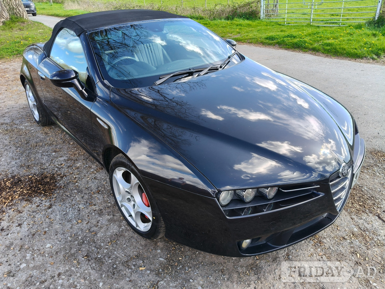 [ berth ]Alfa Romeo Spider