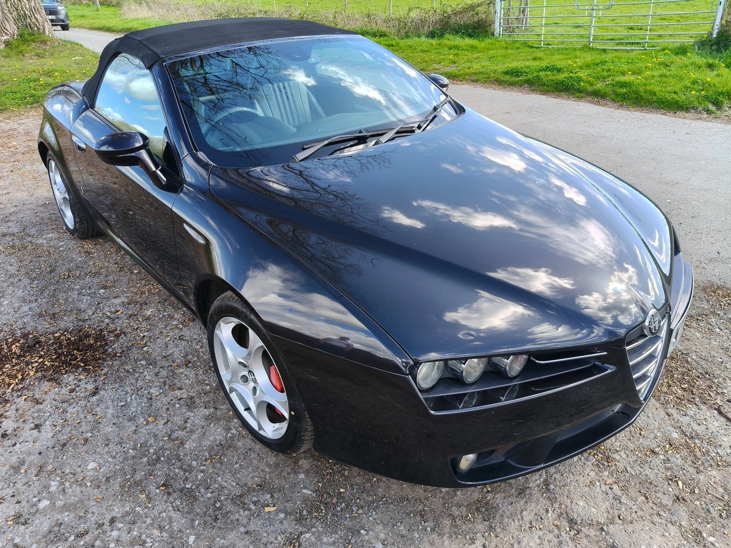 [ berth ]Alfa Romeo Spider