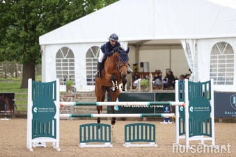 "Mina " Bay Mare All Rounder