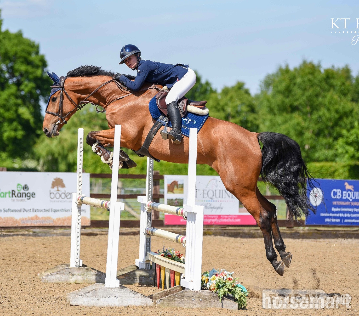"Mina " Bay Mare All Rounder