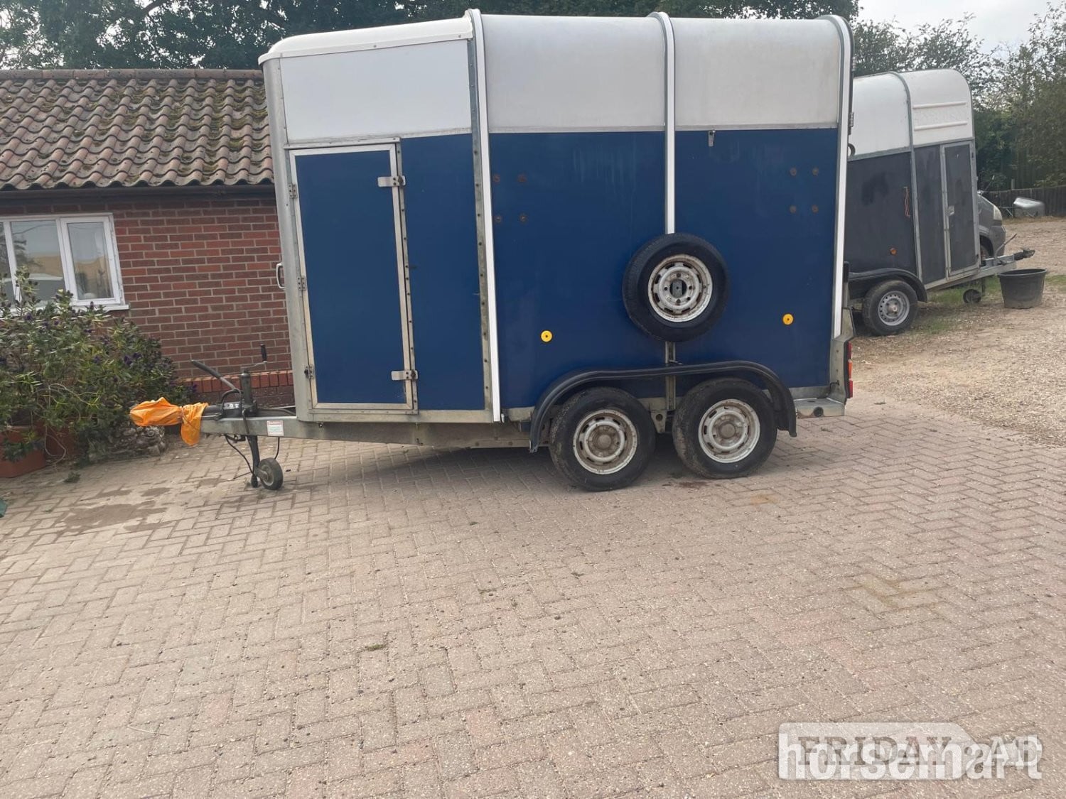 Ifor Williams 505R  Horse Trailer in Somersham