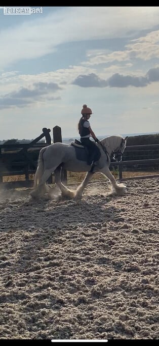 "Lola's Luck" Grey Mare All Rounder