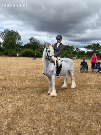 "Lola's Luck" Grey Mare Cob/Heavy Horse