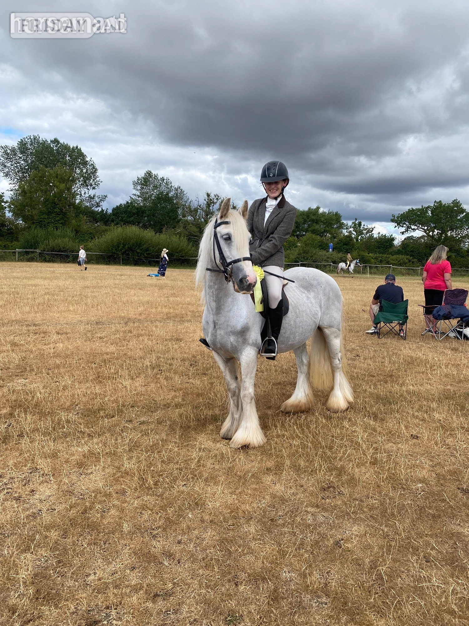 "Lola's Luck" Grey Mare Cob/Heavy Horse in Tamworth