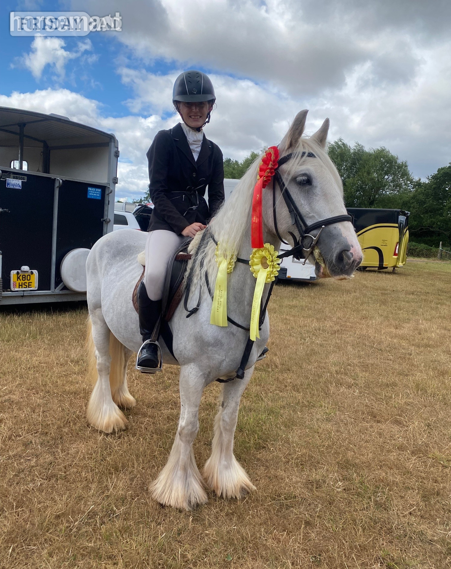 Tamworth "Lola's Luck" Grey Mare Cob/Heavy Horse