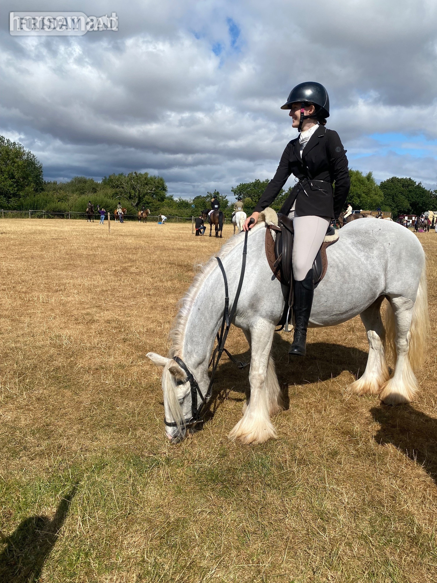 "Lola's Luck" Grey Mare Cob/Heavy Horse - Horses in Tamworth