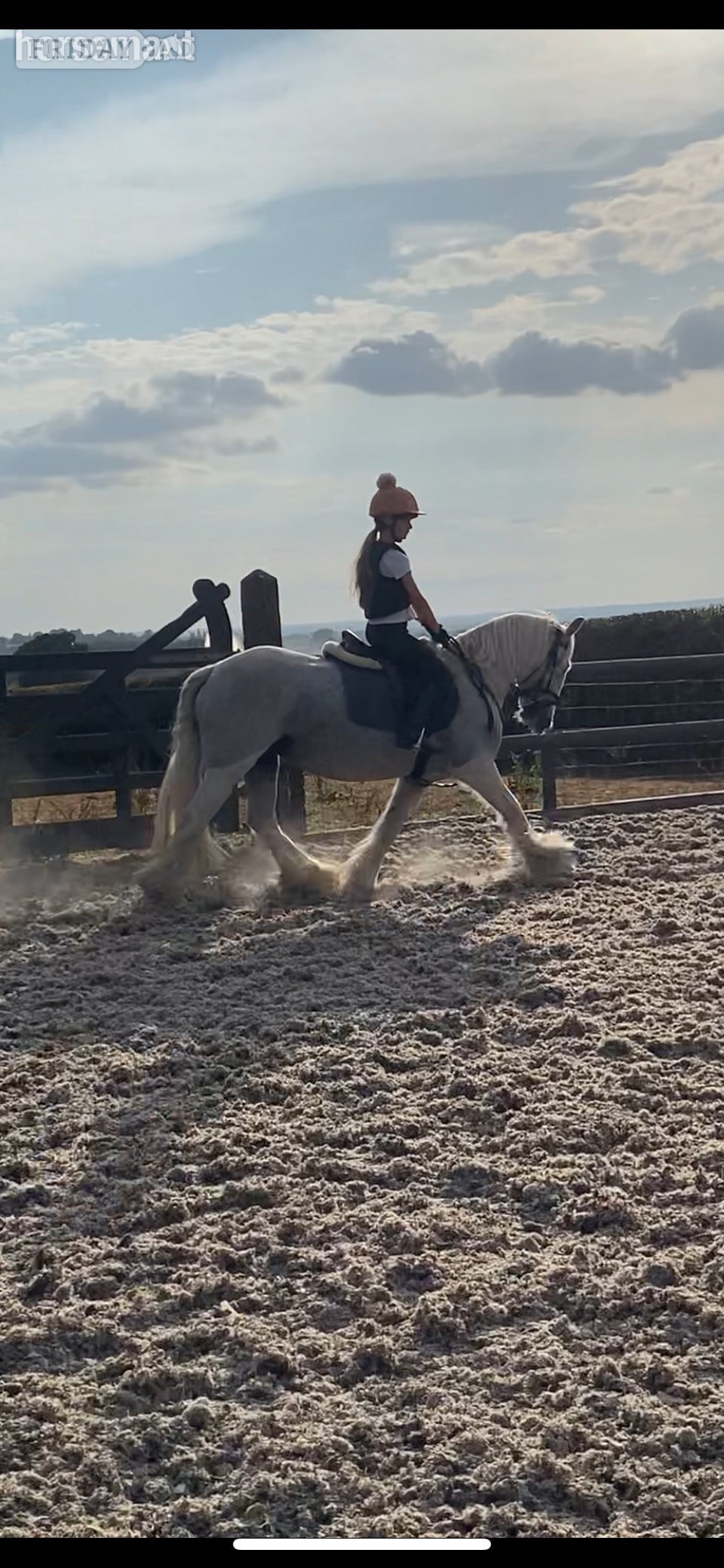 "Lola's Luck" Grey Mare All Rounder in Tamworth