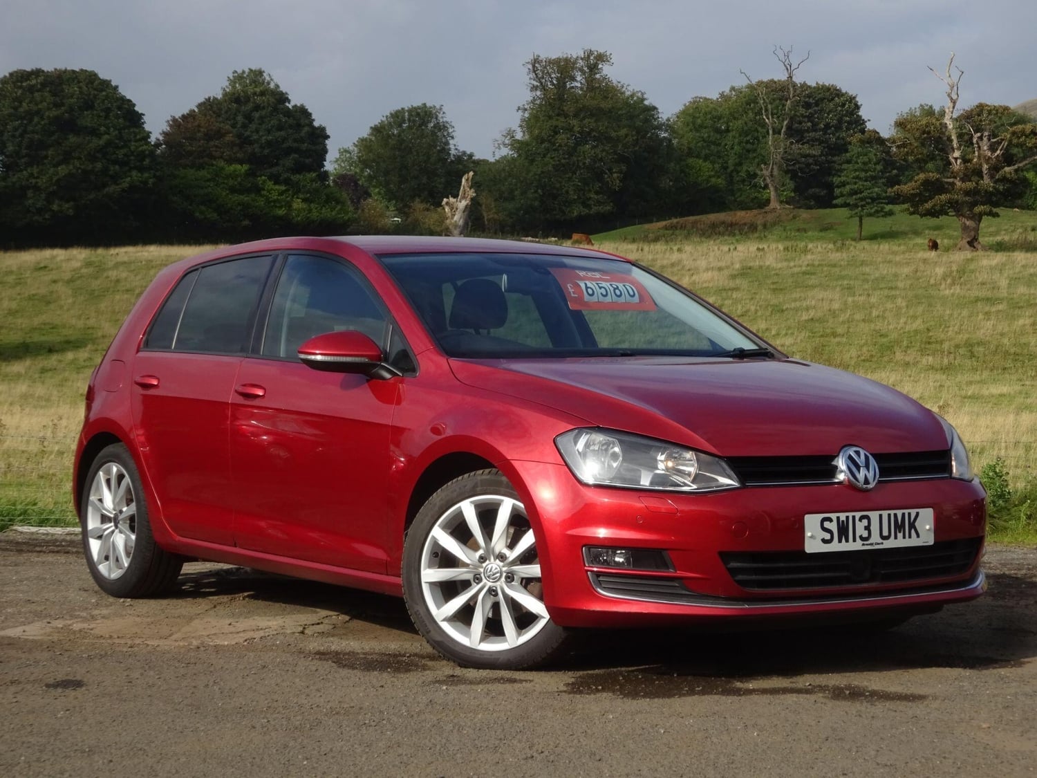 Volkswagen Golf 2013 - Cars