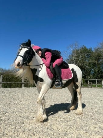 "Ruby" Piebald Mare Project Horse
