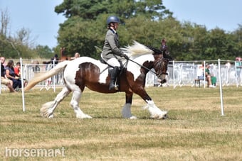 "Myla" Skewbald Mare Coloured