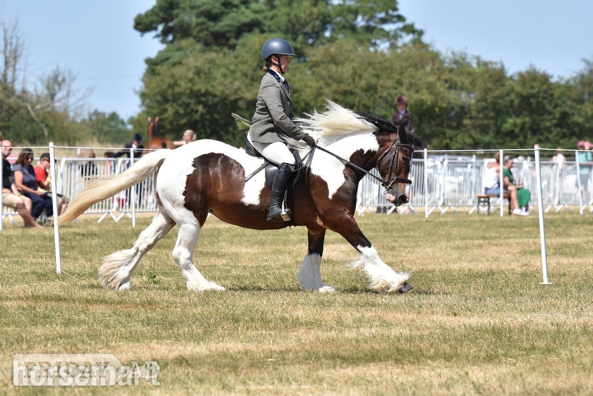 "Myla" Skewbald Mare Coloured in Crick