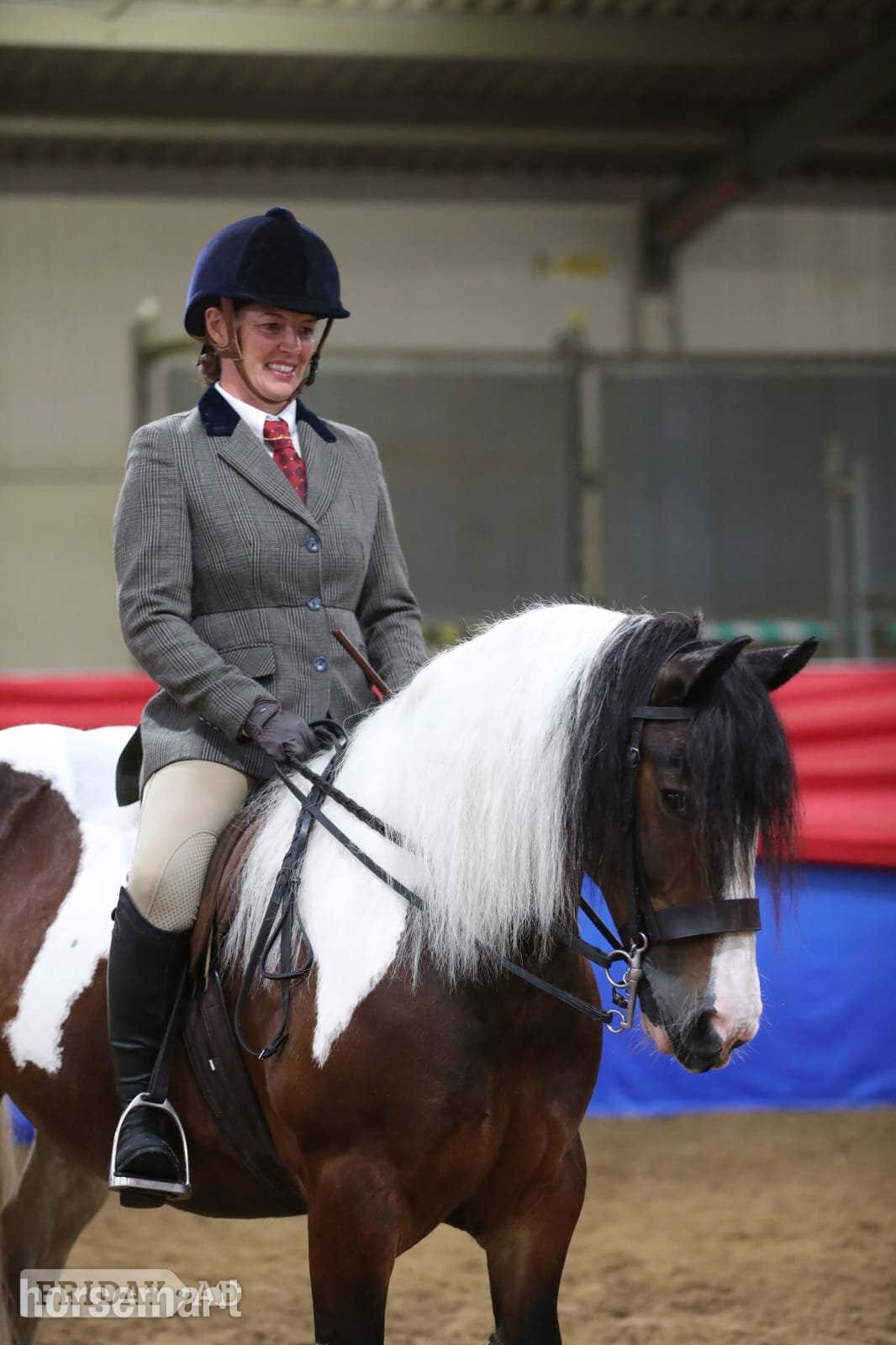 Crick "Myla" Skewbald Mare Coloured