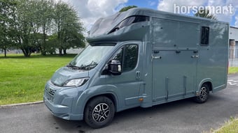 Regent Stallion  Fiat Horsebox