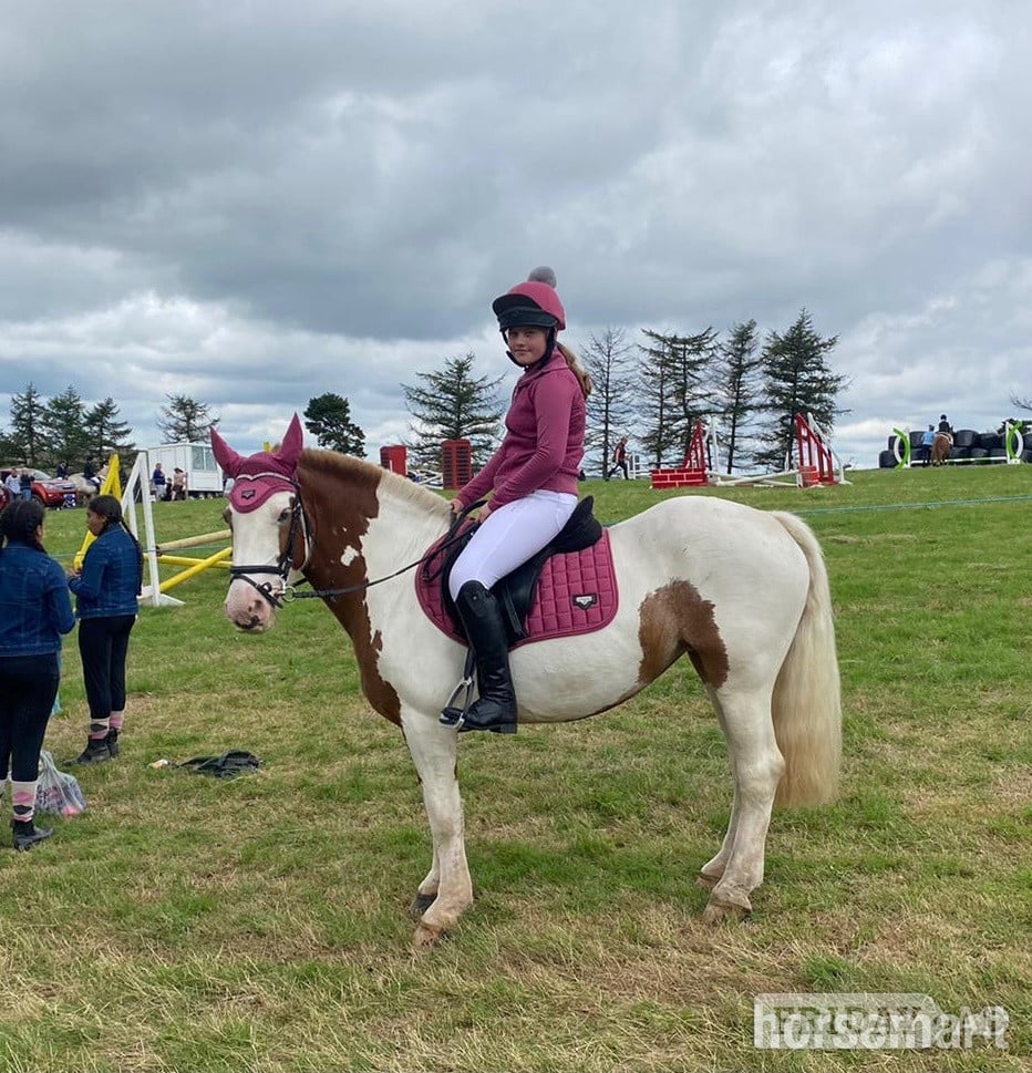 "Rosie " Skewbald Mare All Rounder - Horses in Blackwood