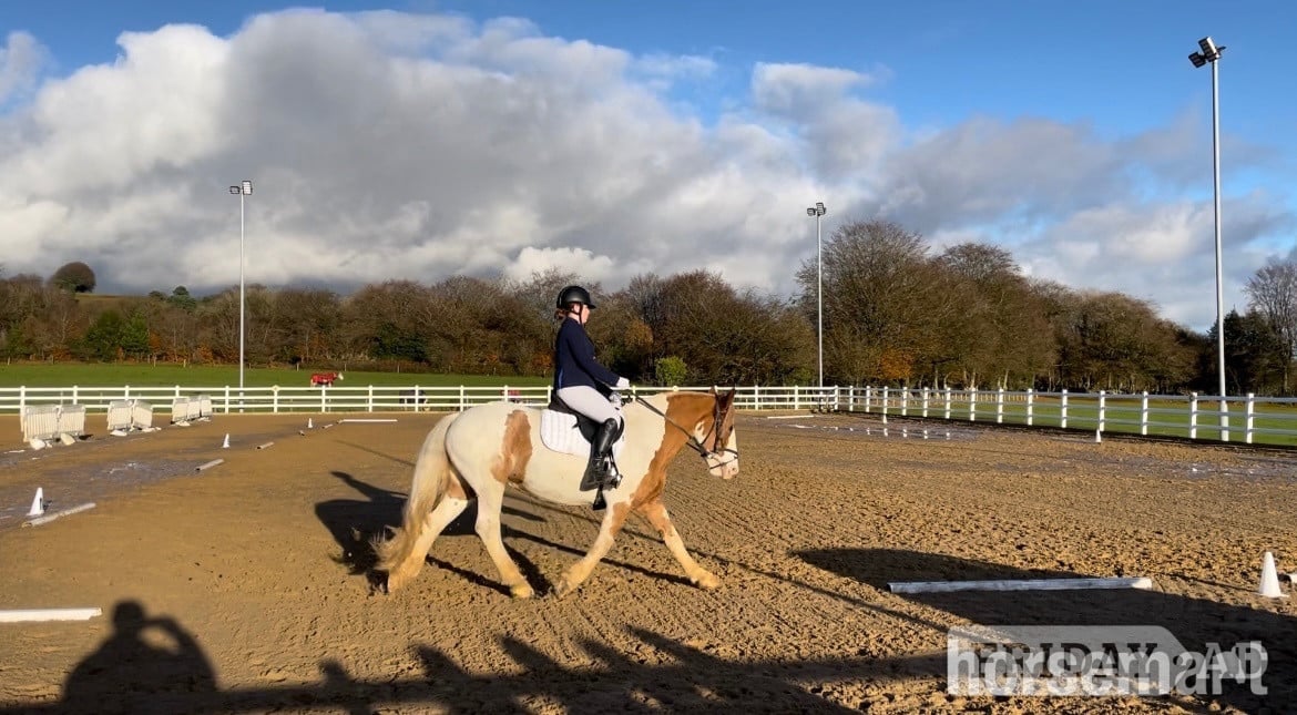 Blackwood "Rosie " Skewbald Mare All Rounder