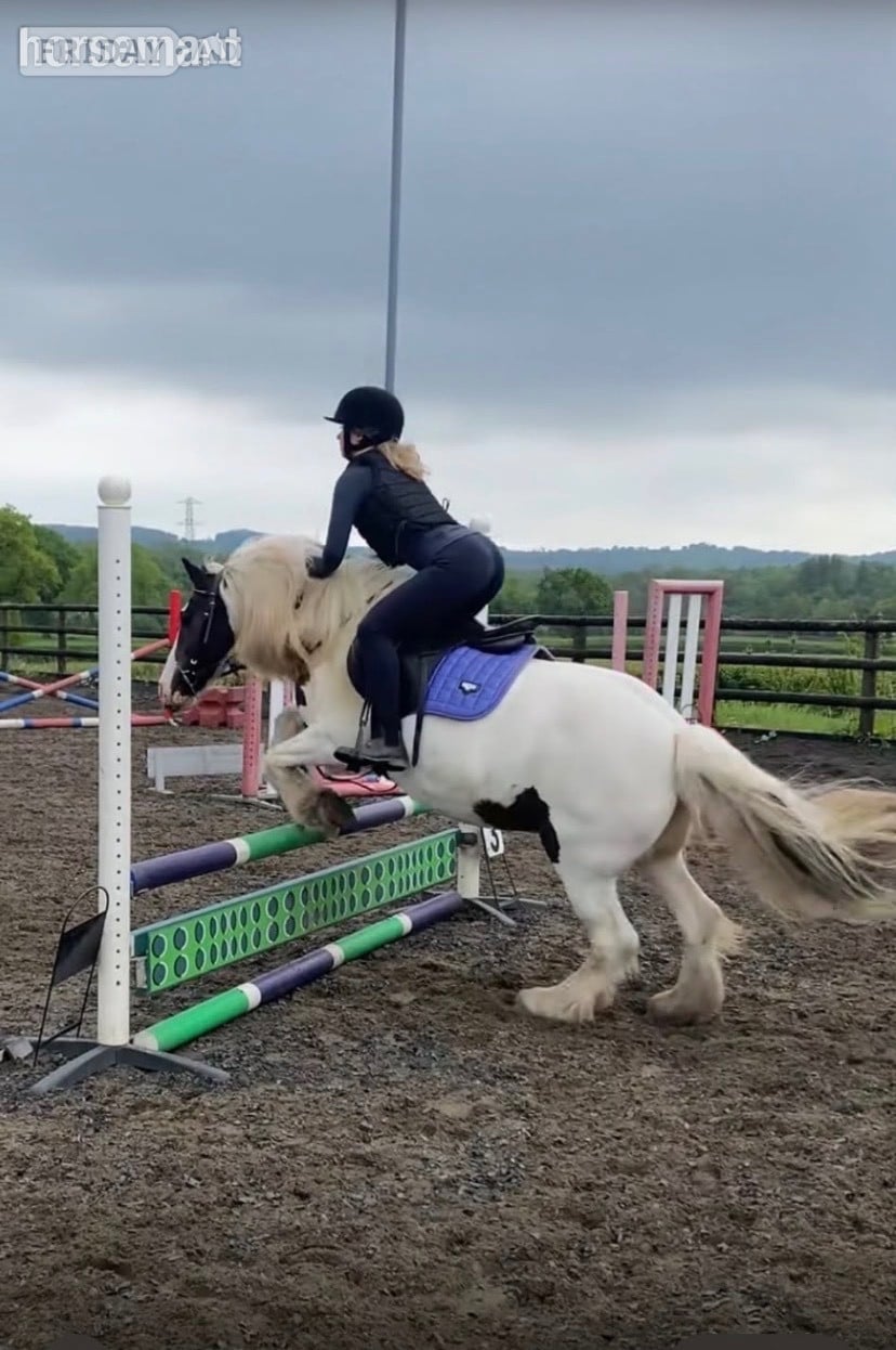 "Bella" Piebald Mare Cob/Heavy Horse