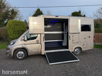 I.C.E Dynamic Peugeot Horsebox