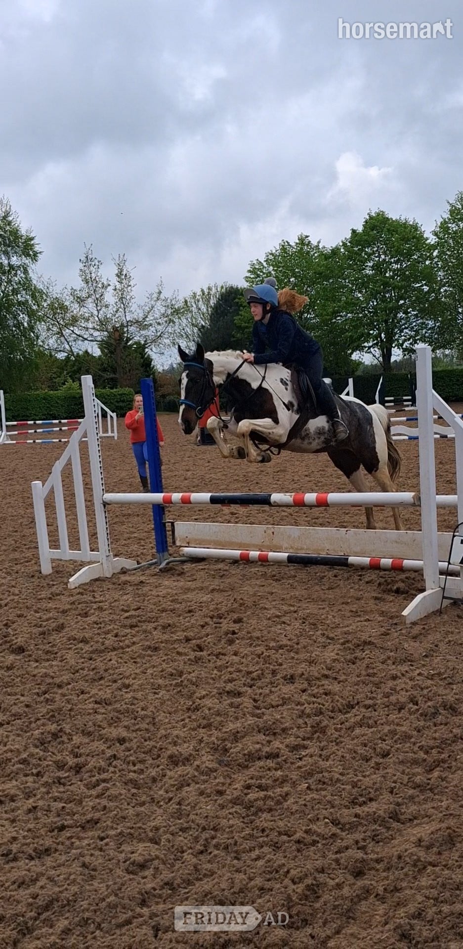 "Fea" Skewbald Mare All Rounder in Armagh