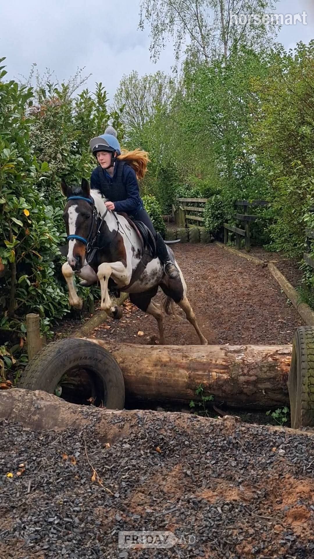 "Fea" Skewbald Mare All Rounder