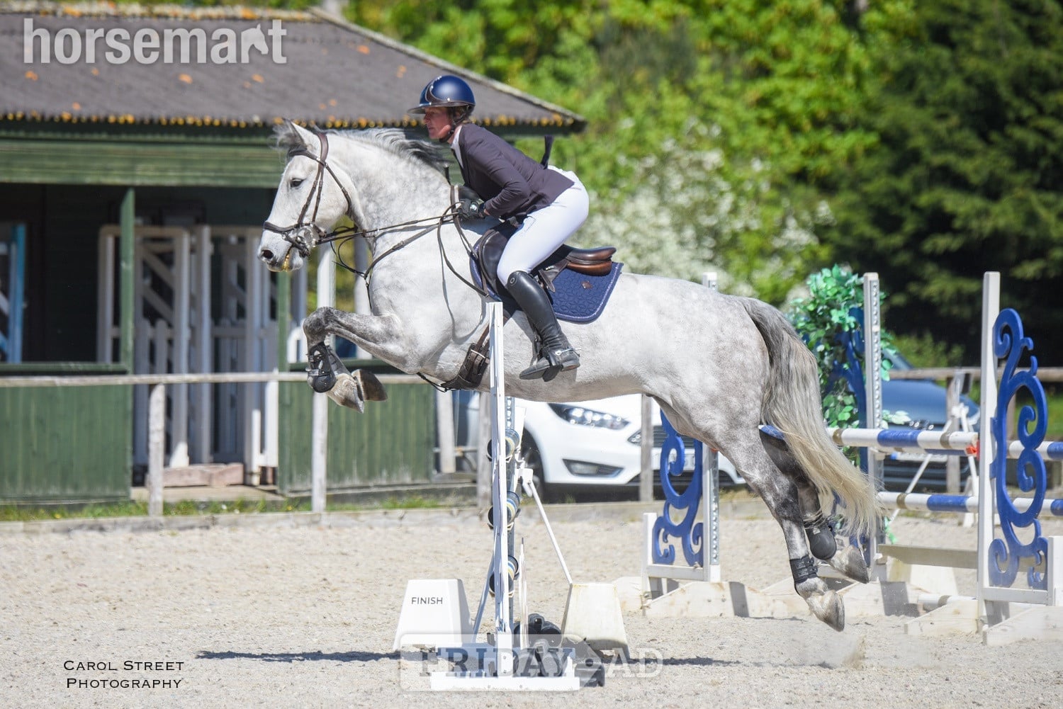 "River" Grey Gelding All Rounder