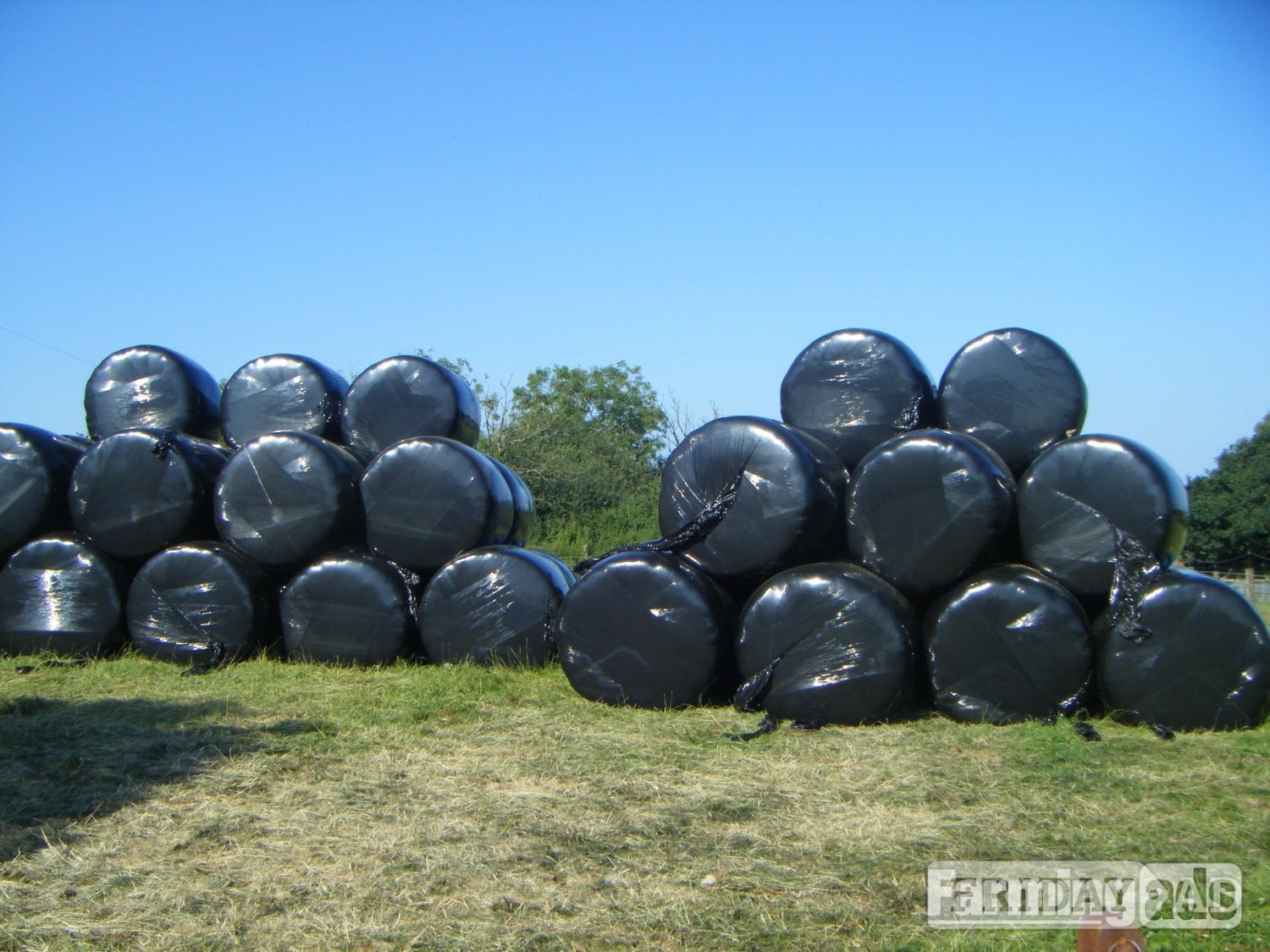 80 BALES of HAYLAGE, suitable for Horses in Holsworthy
