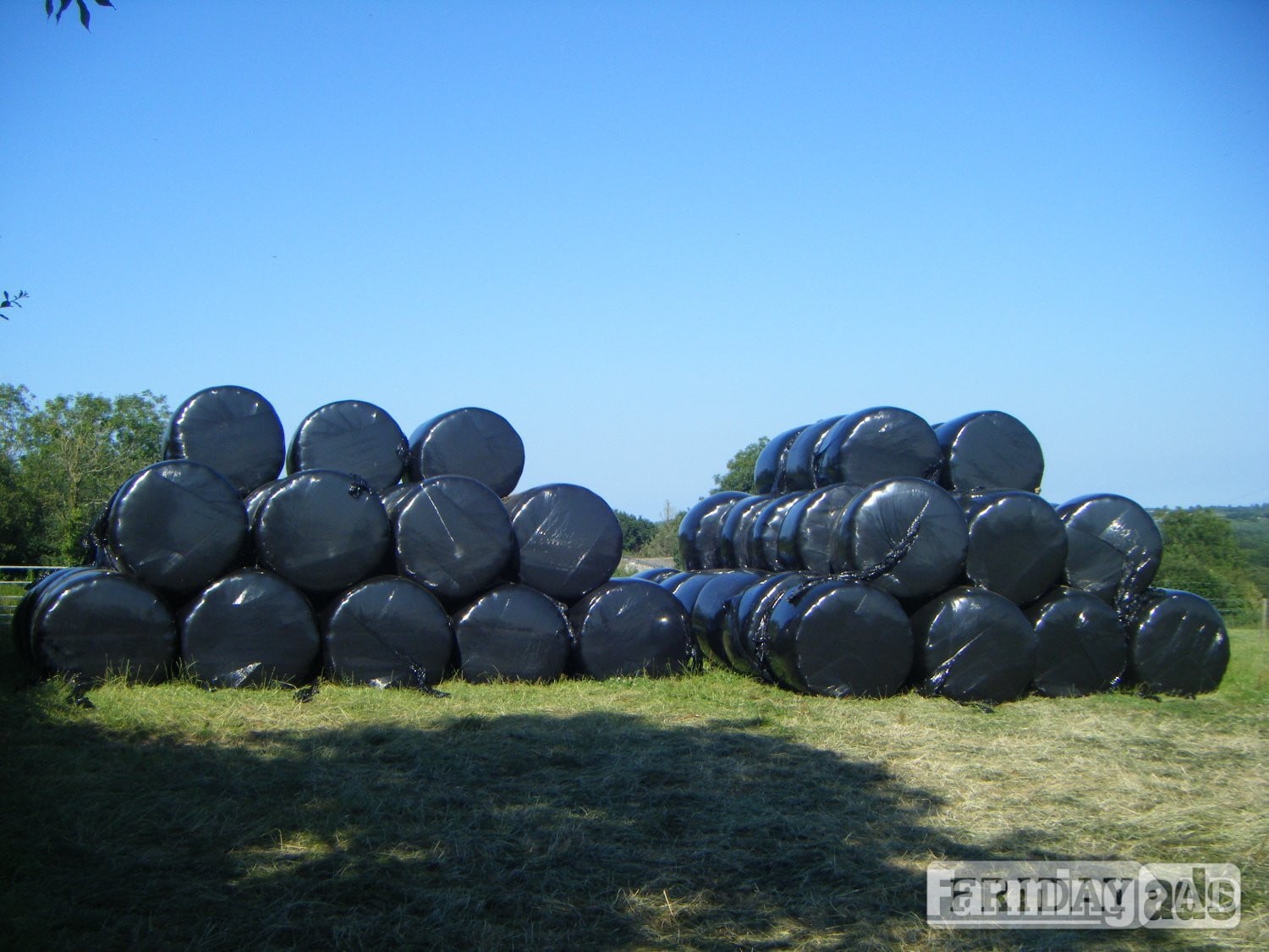 Holsworthy 80 BALES of HAYLAGE, suitable for Horses