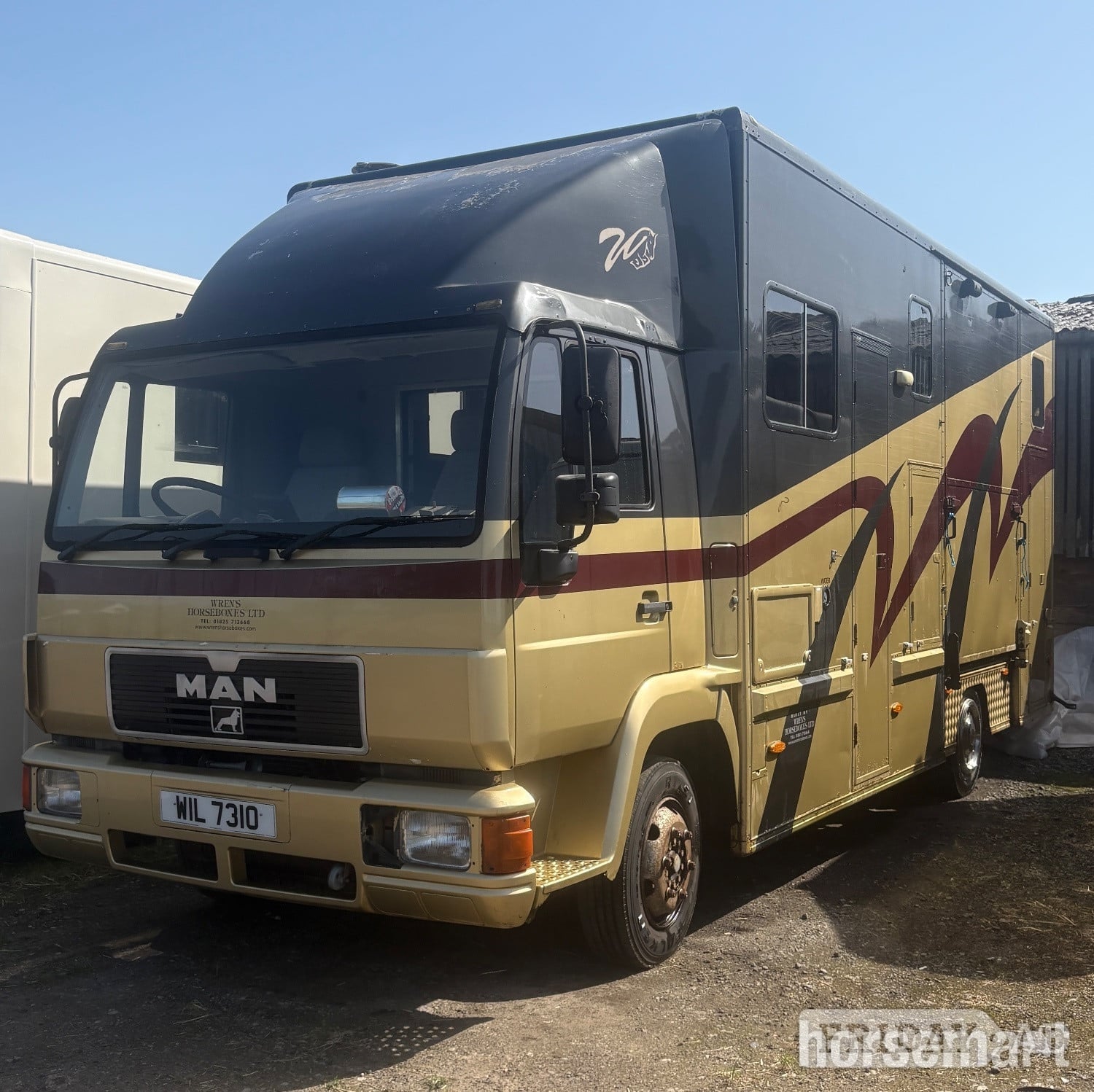 Wren   Man Horsebox in Tonbridge
