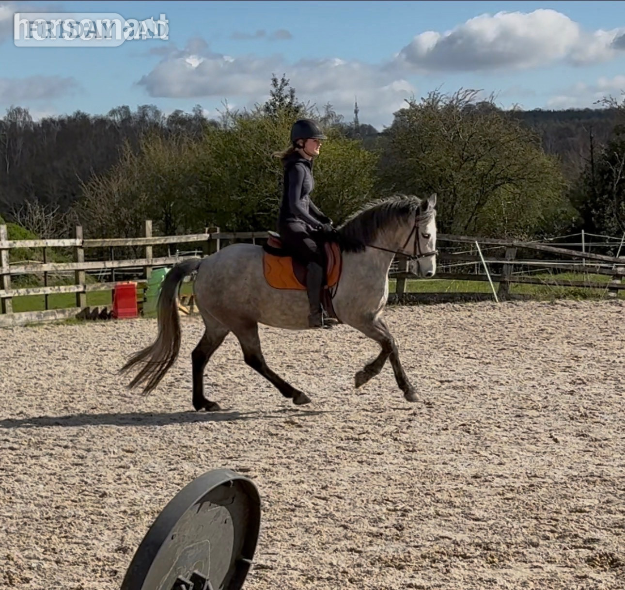"Delilah " Dapple Grey Mare All Rounder in Nottingham