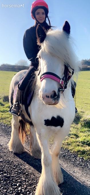 "Molly" Piebald Mare Cob/Heavy Horse