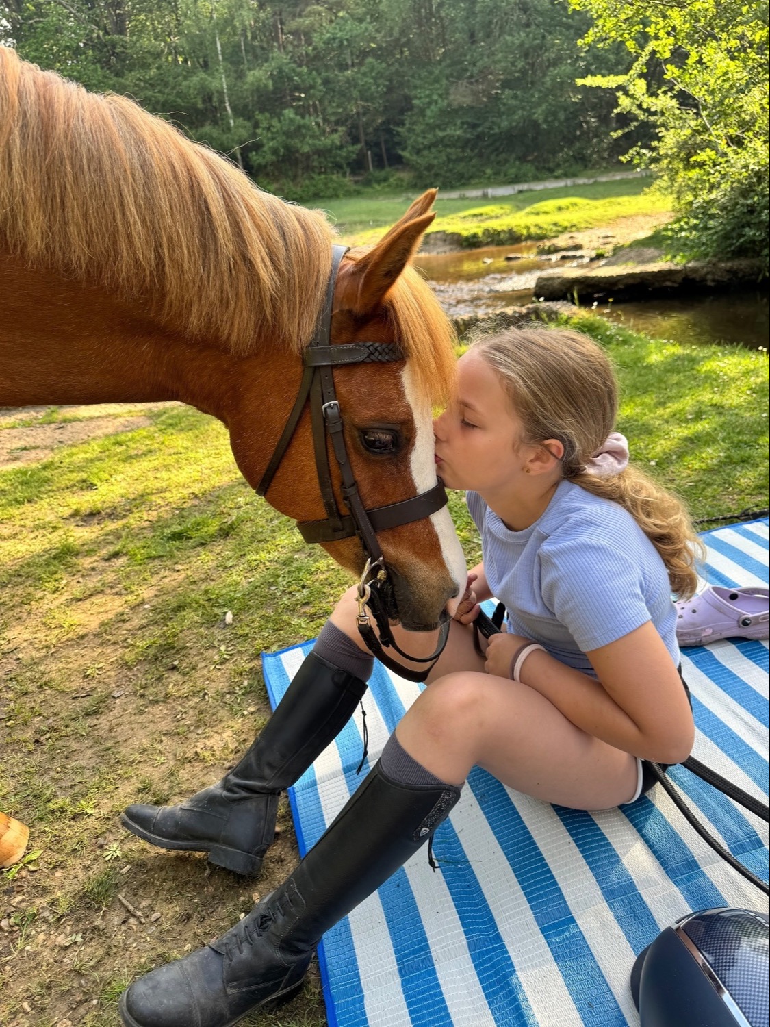 "William" Chestnut Gelding Lead Rein/First Ridden Pony - Horses