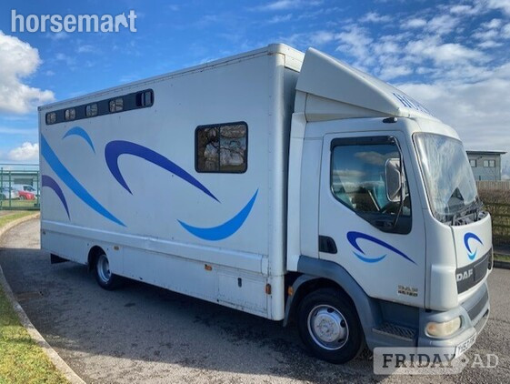 TS Harker  DAF Horsebox - Trailers & Horseboxes