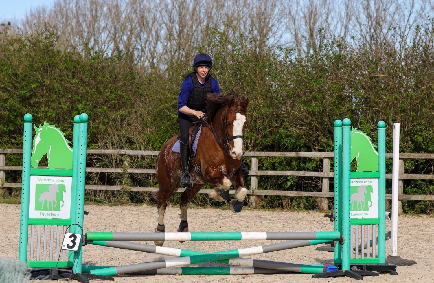 "Gwernfythen Sparkle" Chestnut Roan Gelding All Rounder - Horses in Cambridge