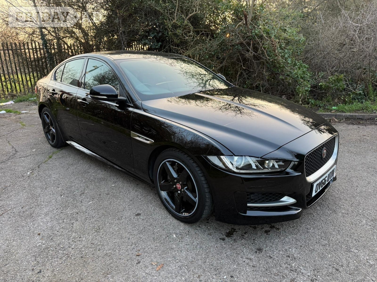 Jaguar XE Hayes