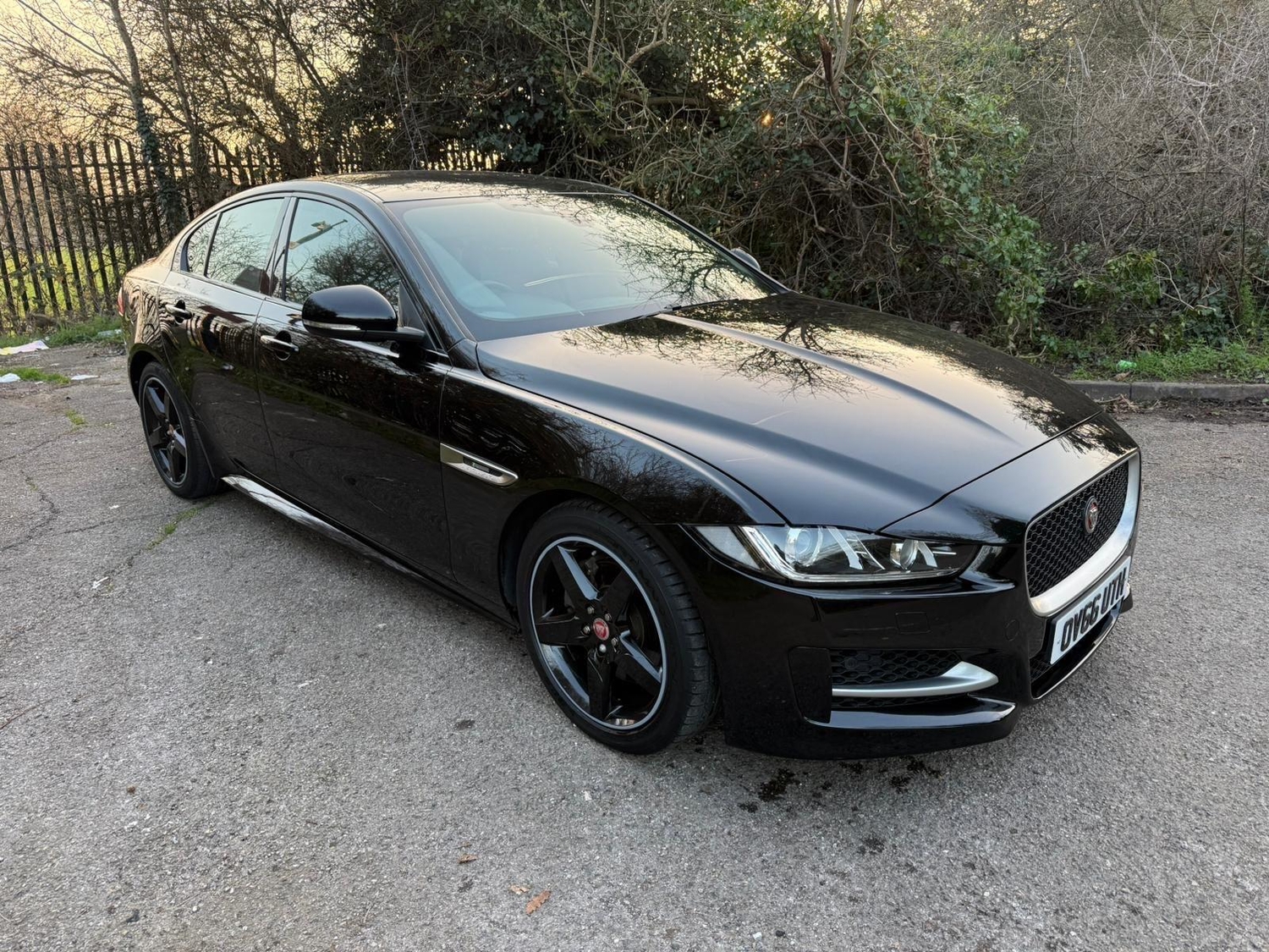 Jaguar XE Hayes