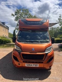 Regent  Peugeot Horsebox - Trailers & Horseboxes in Horsham