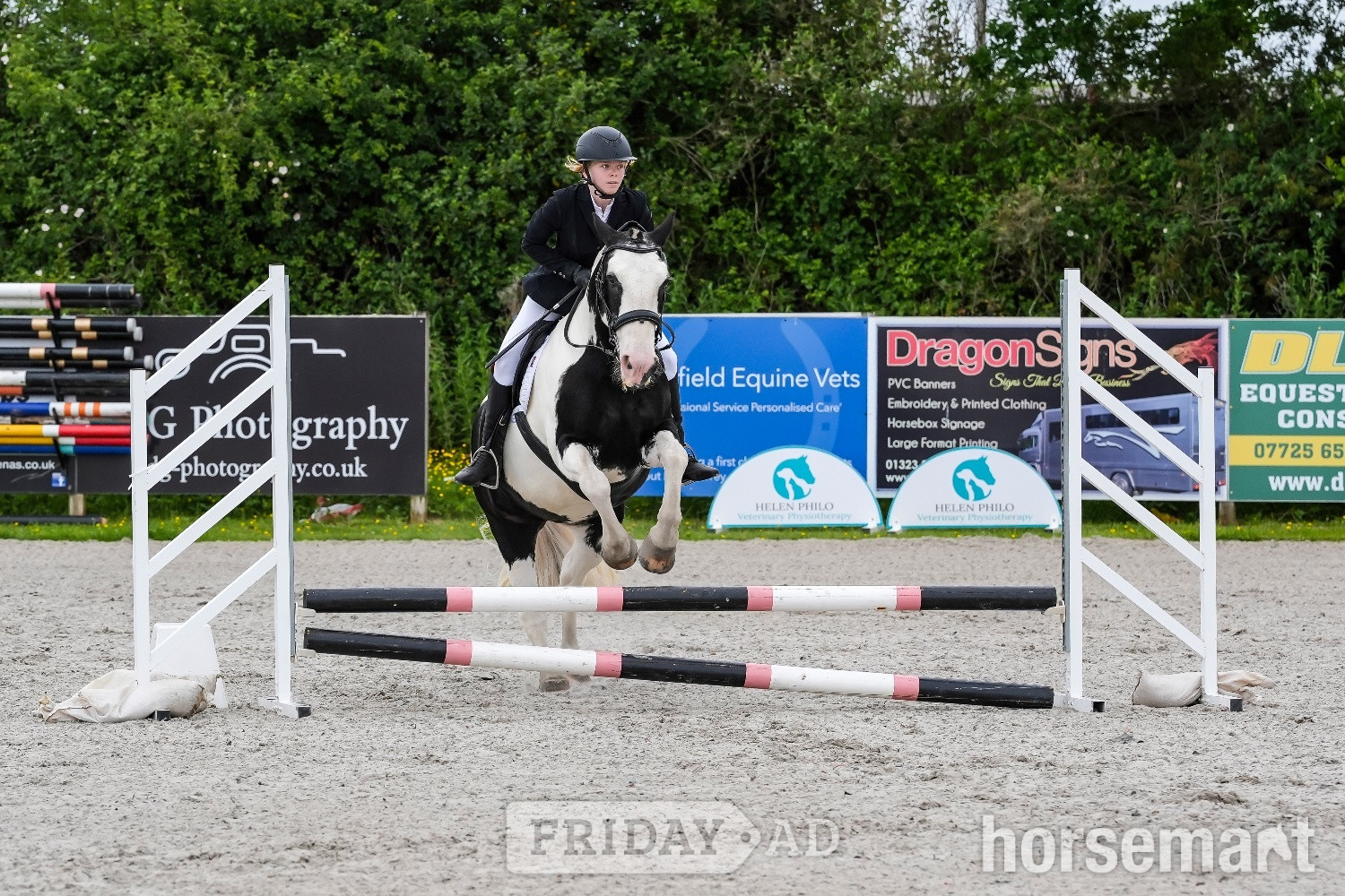Horsted Keynes sane, fun, will do it all, ex riding school, ideal funride horse