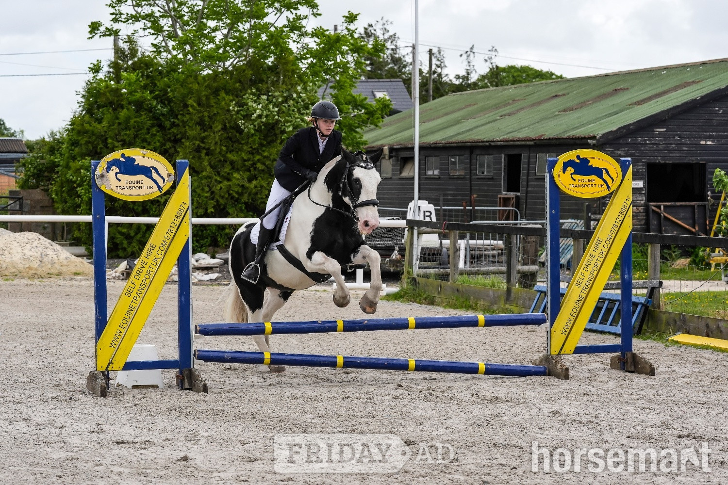 sane, fun, will do it all, ex riding school, ideal funride horse in Horsted Keynes
