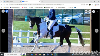 "sempatovski" Coloured Mare Dressage Horse