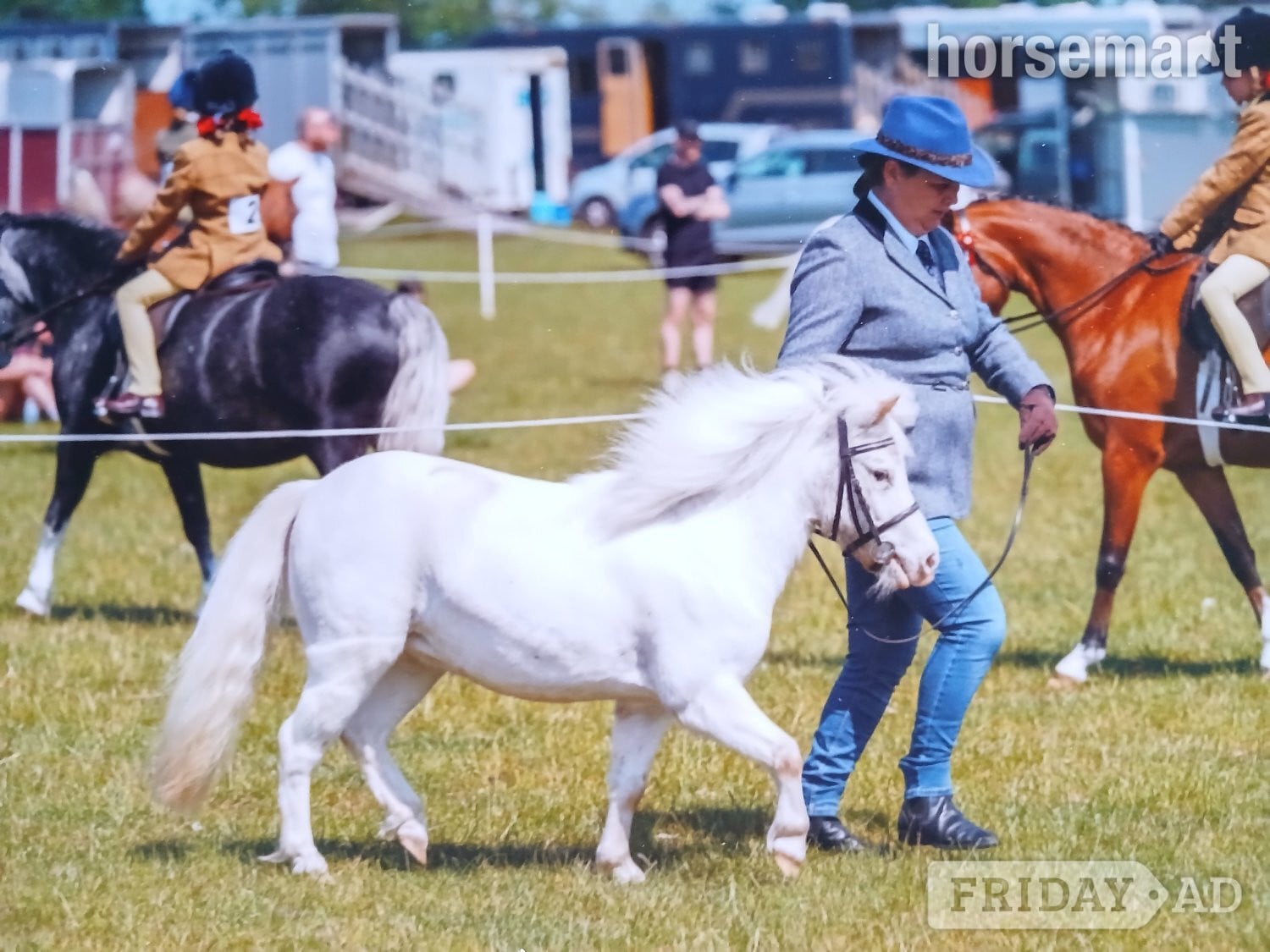 "Bunti" Few Spot Mare Miniature Horse in Broxwood