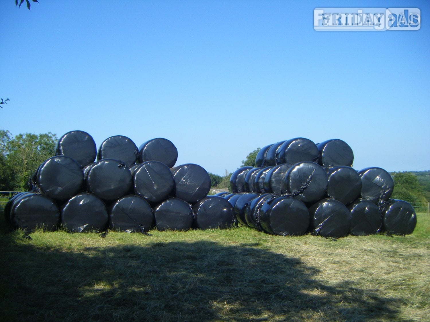 HAYLAGE - 80 Bales in Holsworthy