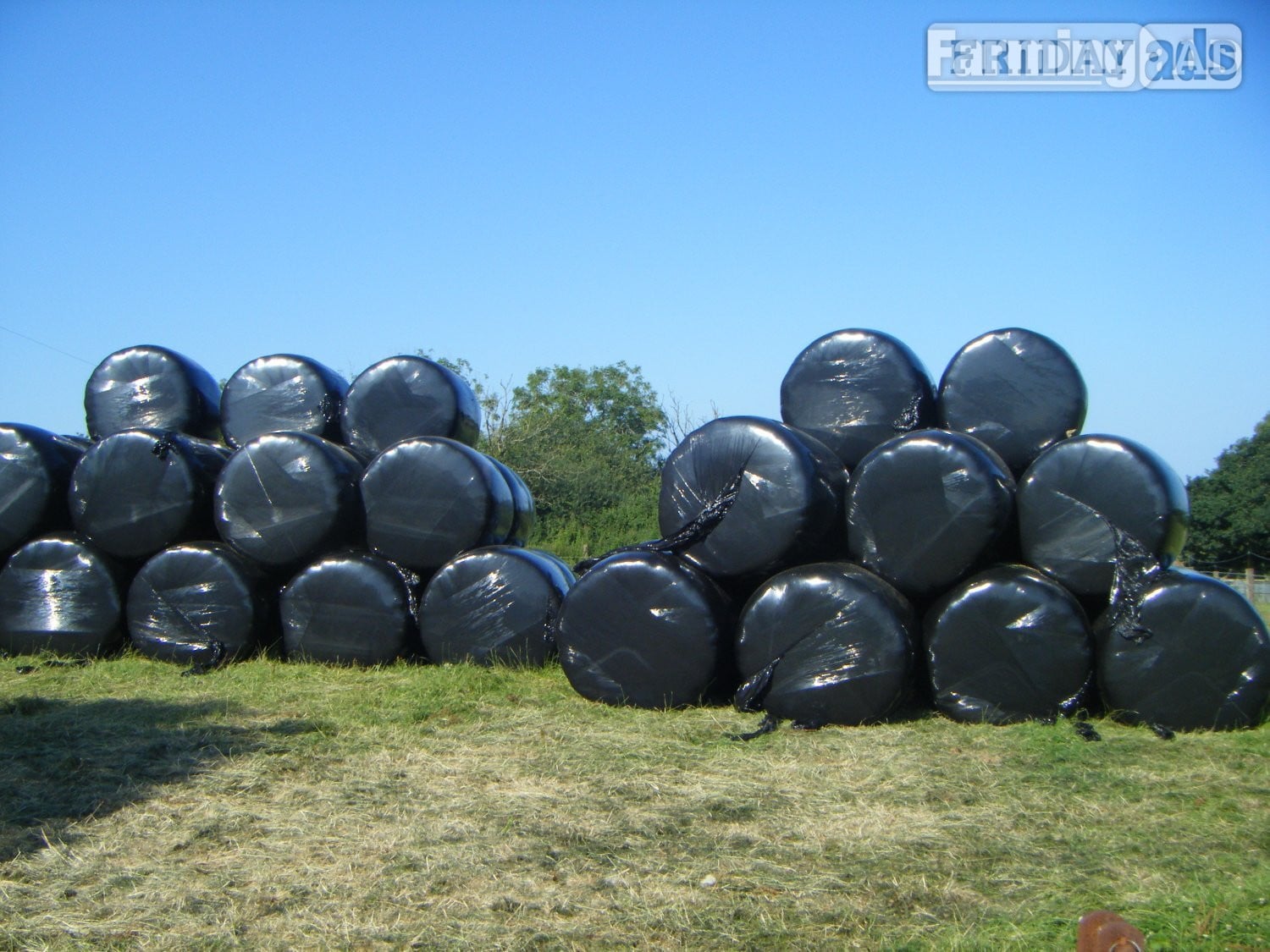 HAYLAGE - 80 Bales